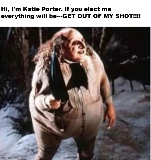 When they show you what they are...believe them | Hi, I'm Katie Porter. If you elect me everything will be---GET OUT OF MY SHOT!!!! | made w/ Imgflip meme maker