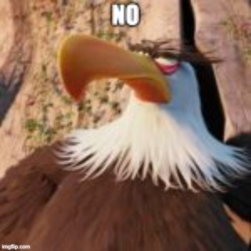 mighty eagle no | image tagged in mighty eagle no | made w/ Imgflip meme maker