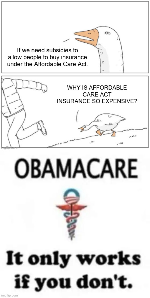 Obamacare is another democrat scam | If we need subsidies to allow people to buy insurance under the Affordable Care Act. WHY IS AFFORDABLE CARE ACT INSURANCE SO EXPENSIVE? | image tagged in goose chase,obamacare,democrat scam | made w/ Imgflip meme maker