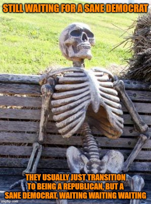 They are not the democrats of old, John Kennedy would be a republican these days | STILL WAITING FOR A SANE DEMOCRAT; THEY USUALLY JUST TRANSITION TO BEING A REPUBLICAN, BUT A SANE DEMOCRAT, WAITING WAITING WAITING | image tagged in memes,waiting skeleton,democrats,republicans | made w/ Imgflip meme maker