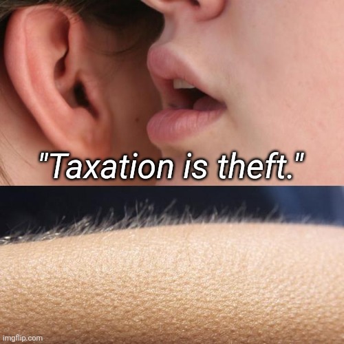 Whisper and Goosebumps | "Taxation is theft." | image tagged in whisper and goosebumps | made w/ Imgflip meme maker