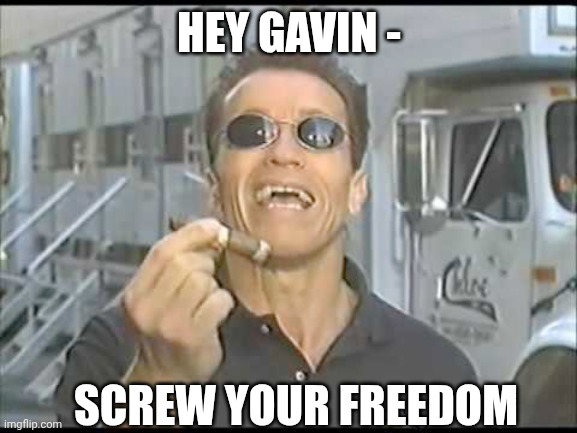 Arnold Ballsy | HEY GAVIN - SCREW YOUR FREEDOM | image tagged in arnold ballsy | made w/ Imgflip meme maker
