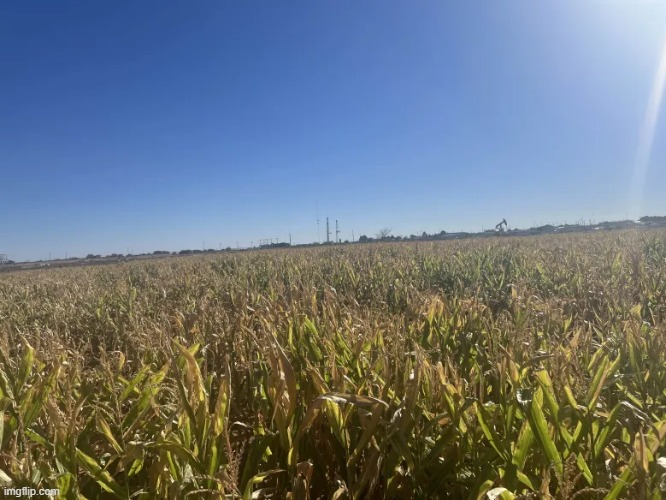 took this earlier | made w/ Imgflip meme maker