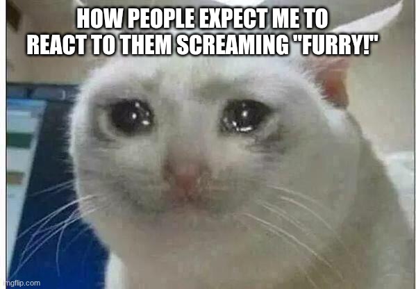 like be so fr rn | HOW PEOPLE EXPECT ME TO REACT TO THEM SCREAMING "FURRY!" | image tagged in crying cat | made w/ Imgflip meme maker