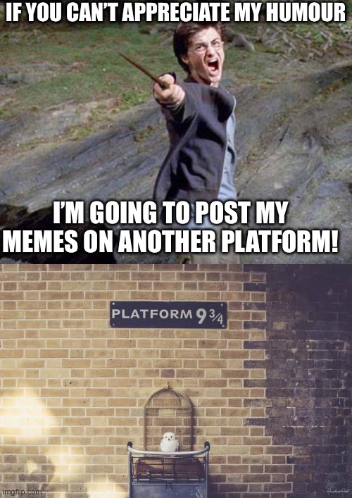 Harry Potter anx the Goblet of Memes | IF YOU CAN’T APPRECIATE MY HUMOUR; I’M GOING TO POST MY MEMES ON ANOTHER PLATFORM! | image tagged in harry potter yelling,platform 9 3/4,memes,humour,appreciation | made w/ Imgflip meme maker
