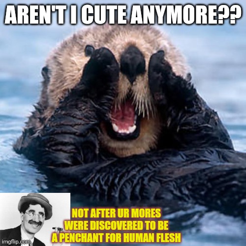 Shouting Otter | AREN'T I CUTE ANYMORE?? NOT AFTER UR MORES WERE DISCOVERED TO BE A PENCHANT FOR HUMAN FLESH | image tagged in shouting otter | made w/ Imgflip meme maker