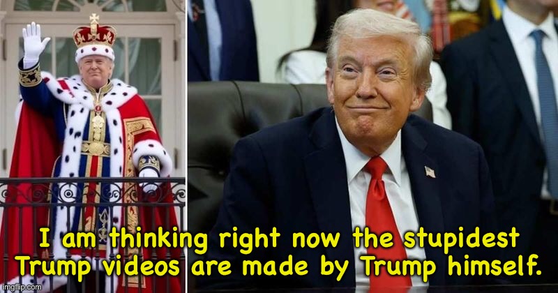 Stupid is as stupid does. | I am thinking right now the stupidest Trump videos are made by Trump himself. | image tagged in trump | made w/ Imgflip meme maker