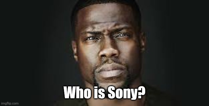 Kevin Hart Stare | Who is Sony? | image tagged in kevin hart stare | made w/ Imgflip meme maker