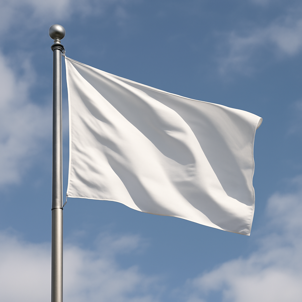 Bitch Blank Meme Template