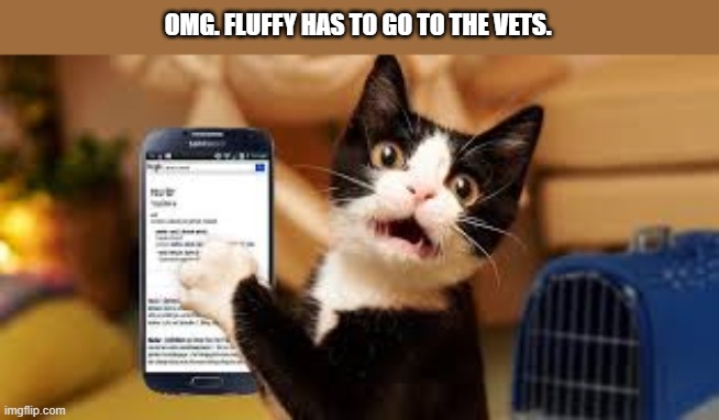 OMG!! Fluffy has to go to the vets.   --  funny  -- | OMG. FLUFFY HAS TO GO TO THE VETS. | image tagged in cats,funny,kittens,humor,veterinarian,cell phone | made w/ Imgflip meme maker