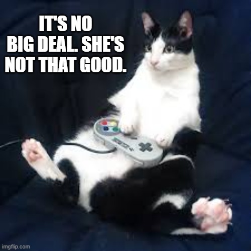 Really. It's no big deal. She's not that good.   --  funny  -- | IT'S NO BIG DEAL. SHE'S NOT THAT GOOD. | image tagged in cat,funny,kittens,humor,video games | made w/ Imgflip meme maker