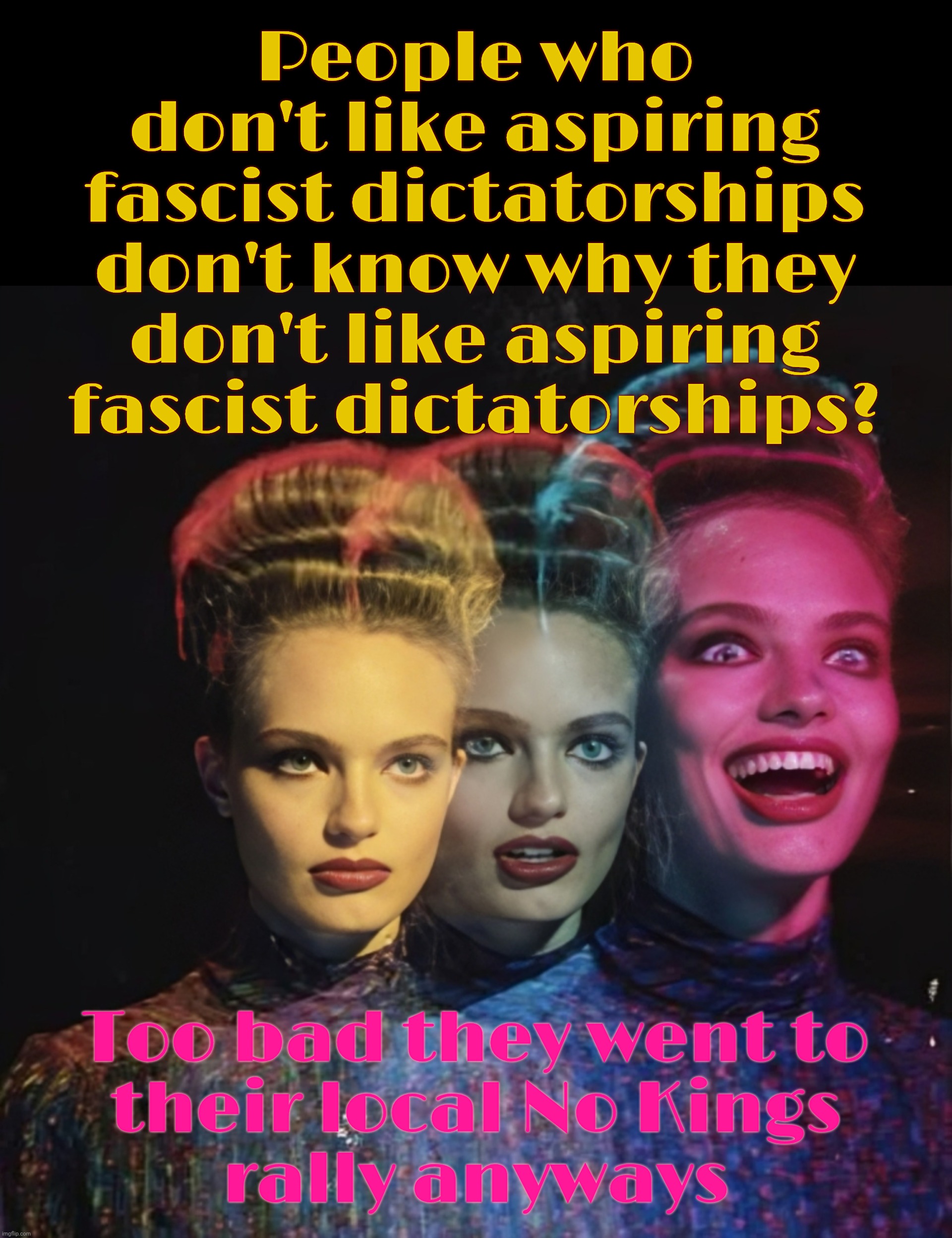 Those claiming those with disdain for the current regime don't actually know why haven't been paying attention | People who
don't like aspiring fascist dictatorships don't know why they don't like aspiring
fascist dictatorships? Too bad they went to
their local No Kings
rally anyways | image tagged in hardee har har,no kings day,because some folks don't like fascism | made w/ Imgflip meme maker