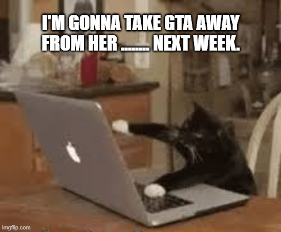 I'm gonna take GTA away from my cat ............... next week. | I'M GONNA TAKE GTA AWAY FROM HER ........ NEXT WEEK. | image tagged in games,video games,computer games,gta,grand theft auto,cat | made w/ Imgflip meme maker