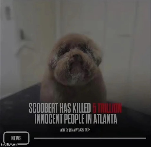 scoobert | made w/ Imgflip meme maker