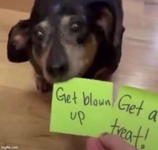 dog gets blown by human | made w/ Imgflip meme maker