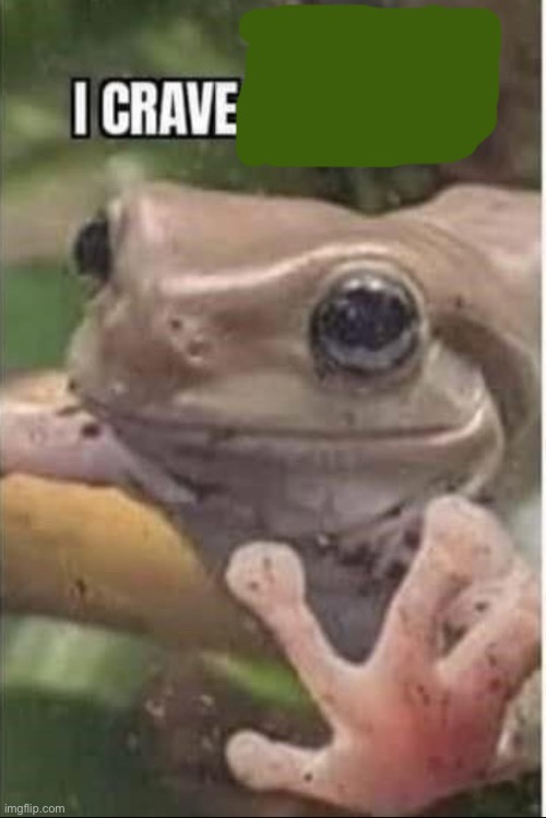 I crave ______ Blank Meme Template