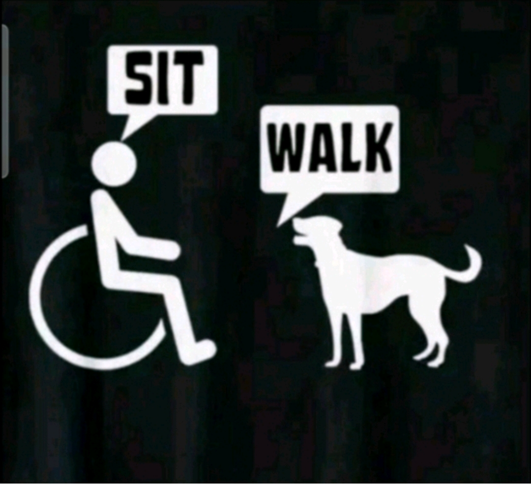 Wheelchair Blank Meme Template