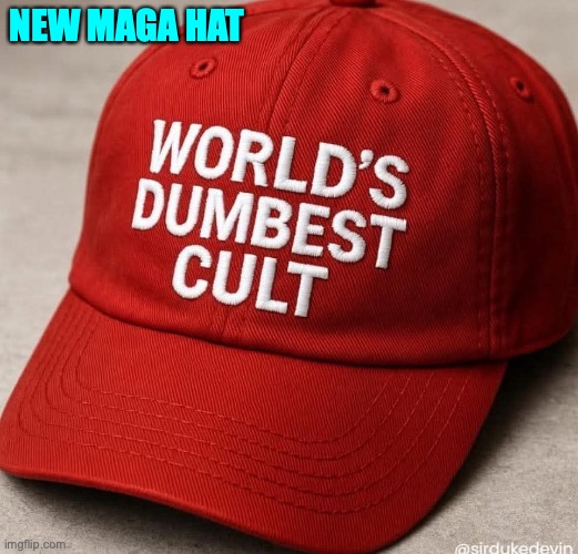 New MAGA hat | NEW MAGA HAT | image tagged in donald trump,republicans,maga,jeffrey epstein,conservatives,right wing | made w/ Imgflip meme maker
