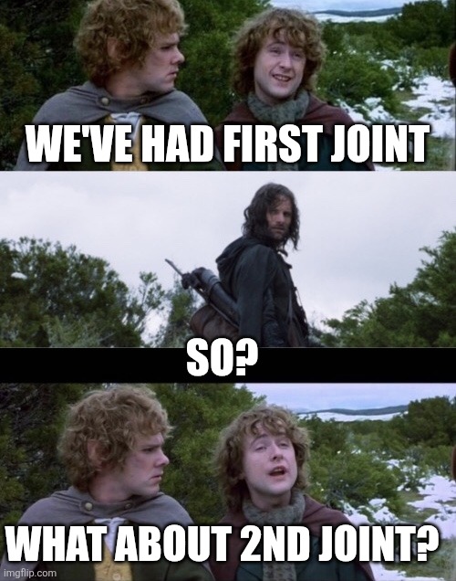 Pippin 2nd joint | WE'VE HAD FIRST JOINT; SO? WHAT ABOUT 2ND JOINT? | image tagged in pippin second breakfast | made w/ Imgflip meme maker