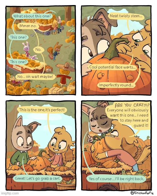 image tagged in shopping,pumpkins,searching,pumpkin,imperfect,perfect | made w/ Imgflip meme maker