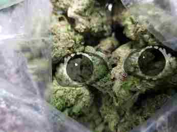 Staring Weed Blank Meme Template