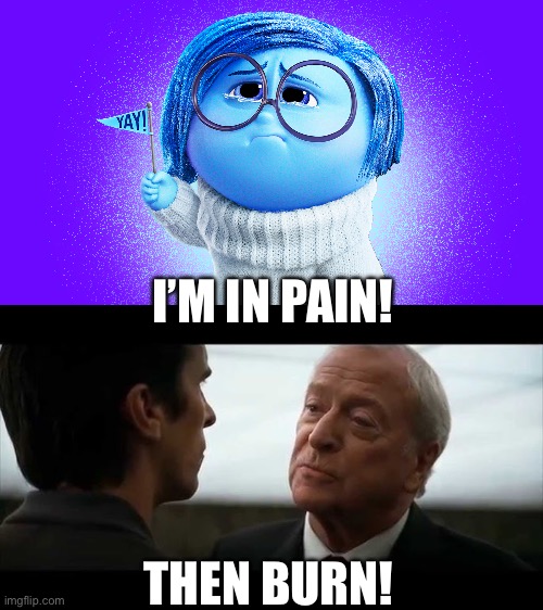 Humans are fake! | I’M IN PAIN! THEN BURN! | image tagged in inside joke | made w/ Imgflip meme maker