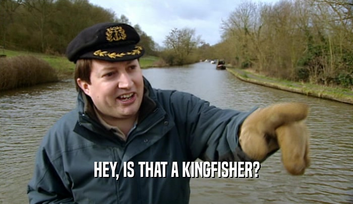 Peep Show: Hey, Is That A Kingfisher? Blank Meme Template