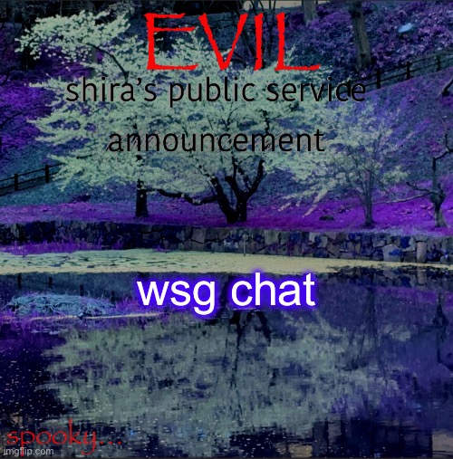 Shira temp | wsg chat | image tagged in shira temp | made w/ Imgflip meme maker