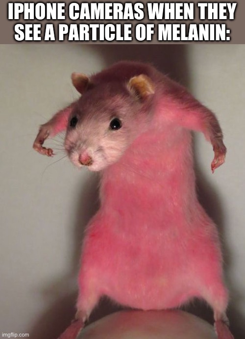 Can’t even take a selfie in ohio | IPHONE CAMERAS WHEN THEY SEE A PARTICLE OF MELANIN: | image tagged in rat,funny,racist,camera,memes,iphone | made w/ Imgflip meme maker