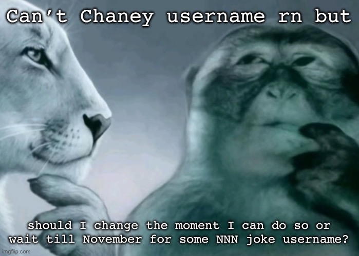 Is this ragebait? | Can’t Chaney username rn but; should I change the moment I can do so or wait till November for some NNN joke username? | image tagged in is this ragebait | made w/ Imgflip meme maker
