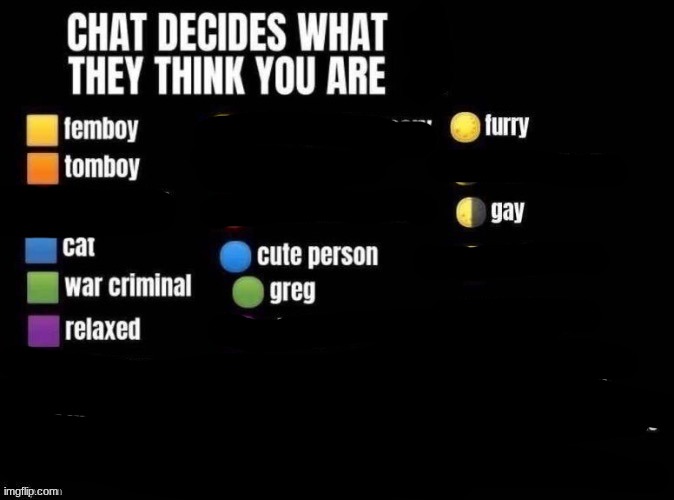 Chat decides what they think you are | image tagged in chat decides what they think you are | made w/ Imgflip meme maker