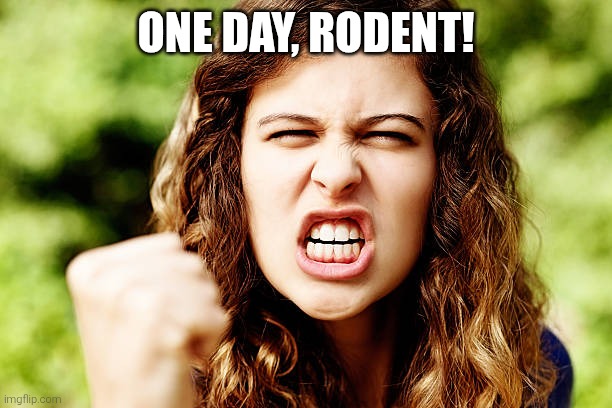 angry woman shaking fist | ONE DAY, RODENT! | image tagged in angry woman shaking fist | made w/ Imgflip meme maker