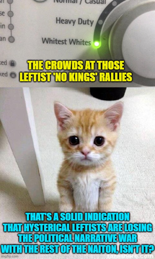 Yep it sure is when the very minority groups you traditionally talk down to, stay home. | THE CROWDS AT THOSE LEFTIST 'NO KINGS' RALLIES; THAT'S A SOLID INDICATION THAT HYSTERICAL LEFTISTS ARE LOSING THE POLITICAL NARRATIVE WAR WITH THE REST OF THE NAITON, ISN'T IT? | image tagged in yep | made w/ Imgflip meme maker