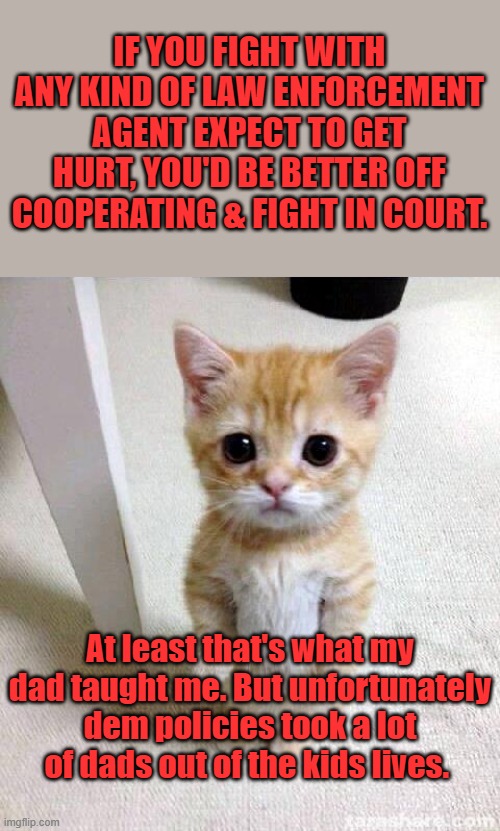 DEM policy destroys the Family structure. Make um dependent on GOV. systems. | IF YOU FIGHT WITH ANY KIND OF LAW ENFORCEMENT AGENT EXPECT TO GET HURT, YOU'D BE BETTER OFF COOPERATING & FIGHT IN COURT. At least that's what my dad taught me. But unfortunately dem policies took a lot of dads out of the kids lives. | image tagged in memes,cute cat | made w/ Imgflip meme maker