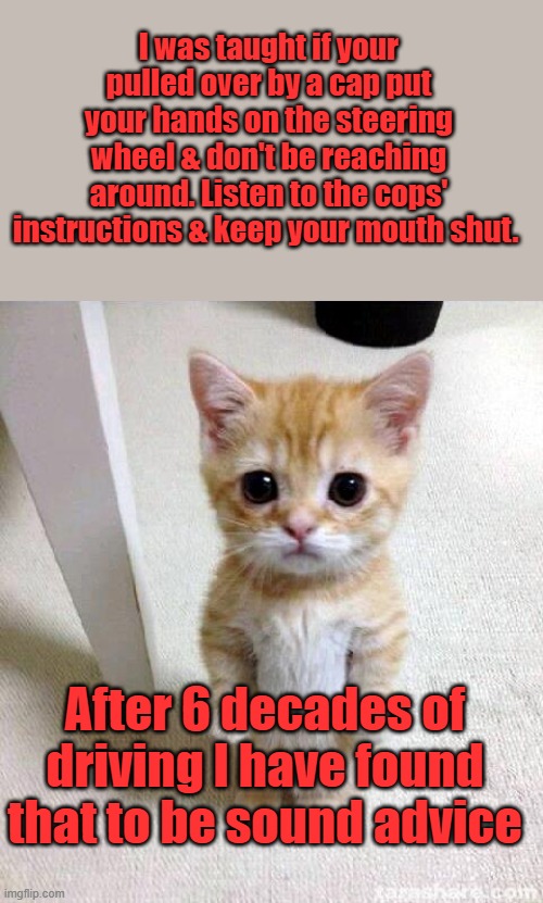 But unfortunately, the younger generations have been taught to challenge the cops & make assess of  themselves. | I was taught if your pulled over by a cap put your hands on the steering wheel & don't be reaching around. Listen to the cops' instructions & keep your mouth shut. After 6 decades of driving I have found that to be sound advice | image tagged in memes,cute cat | made w/ Imgflip meme maker