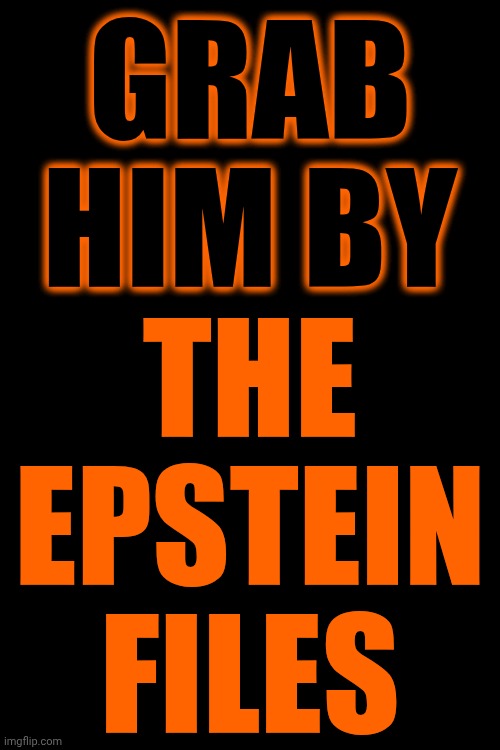Best Protest Sign | GRAB HIM BY; THE EPSTEIN FILES | image tagged in memes,maga,nazis,fascists,trump lies,lock him up | made w/ Imgflip meme maker