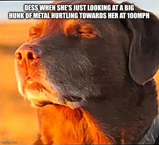 DRIVING IN MY CAR... | DESS WHEN SHE'S JUST LOOKING AT A BIG HUNK OF METAL HURTLING TOWARDS HER AT 100MPH | image tagged in i'm cooked | made w/ Imgflip meme maker