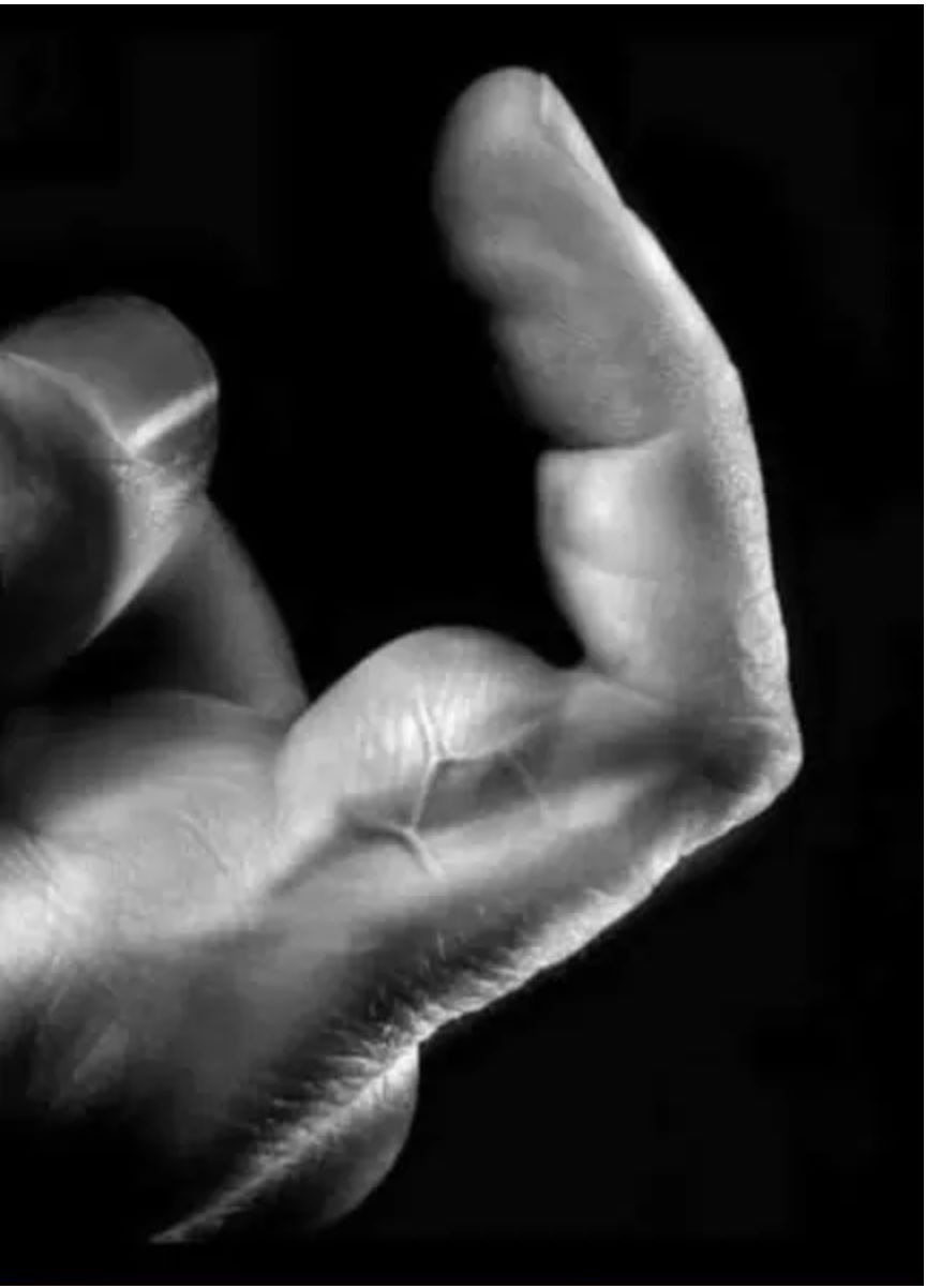 finger muscle Blank Meme Template