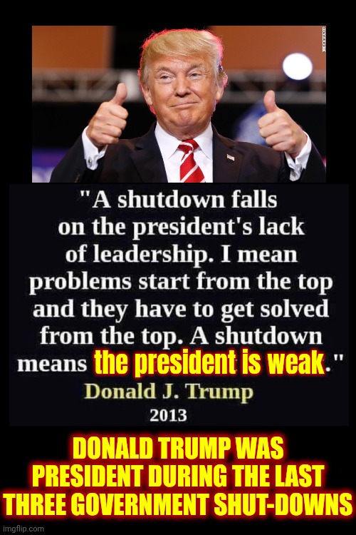 Donald Trump Was President During THE LAST THREE Government Shut-downs | the president is weak; DONALD TRUMP WAS PRESIDENT DURING THE LAST THREE GOVERNMENT SHUT-DOWNS | image tagged in memes,maga,nazis,fascists,terrorists,insurrectionists | made w/ Imgflip meme maker