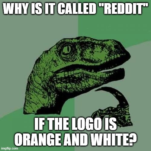 Should I have saved this for a 10 Guy meme? | WHY IS IT CALLED "REDDIT"; IF THE LOGO IS ORANGE AND WHITE? | image tagged in memes,philosoraptor,reddit,logo,social media,apps | made w/ Imgflip meme maker