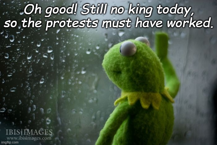 The Overwhelming Power of Straw Man Arguments and Protests | Oh good! Still no king today, so the protests must have worked. | image tagged in kermit window | made w/ Imgflip meme maker