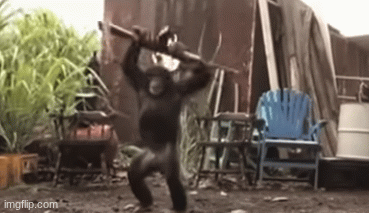 yayyyyyyy I have a gun | image tagged in gifs,weird | made w/ Imgflip images-to-gif maker
