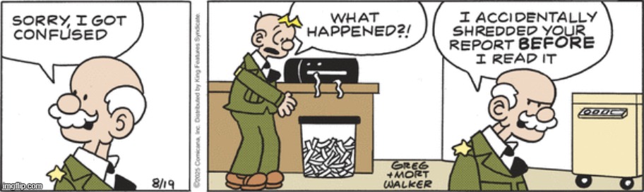 Beetle Bailey | image tagged in comics | made w/ Imgflip meme maker