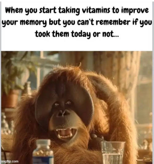 It's Always Something | image tagged in memory,bad memory,pills,hard to swallow pills,lol | made w/ Imgflip meme maker
