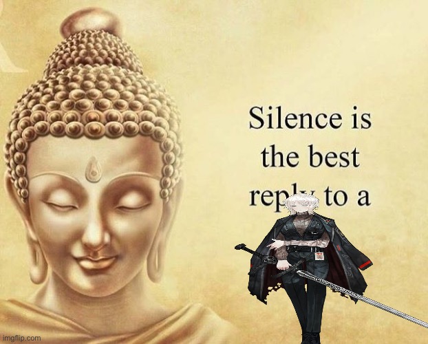 Silence is the best reply to a fool | image tagged in silence is the best reply to a fool | made w/ Imgflip meme maker
