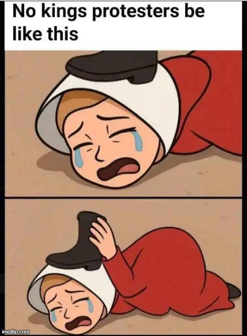 Victims | image tagged in sick  tired,liberals,stupid liberals,liberalism is a mental disorder | made w/ Imgflip meme maker