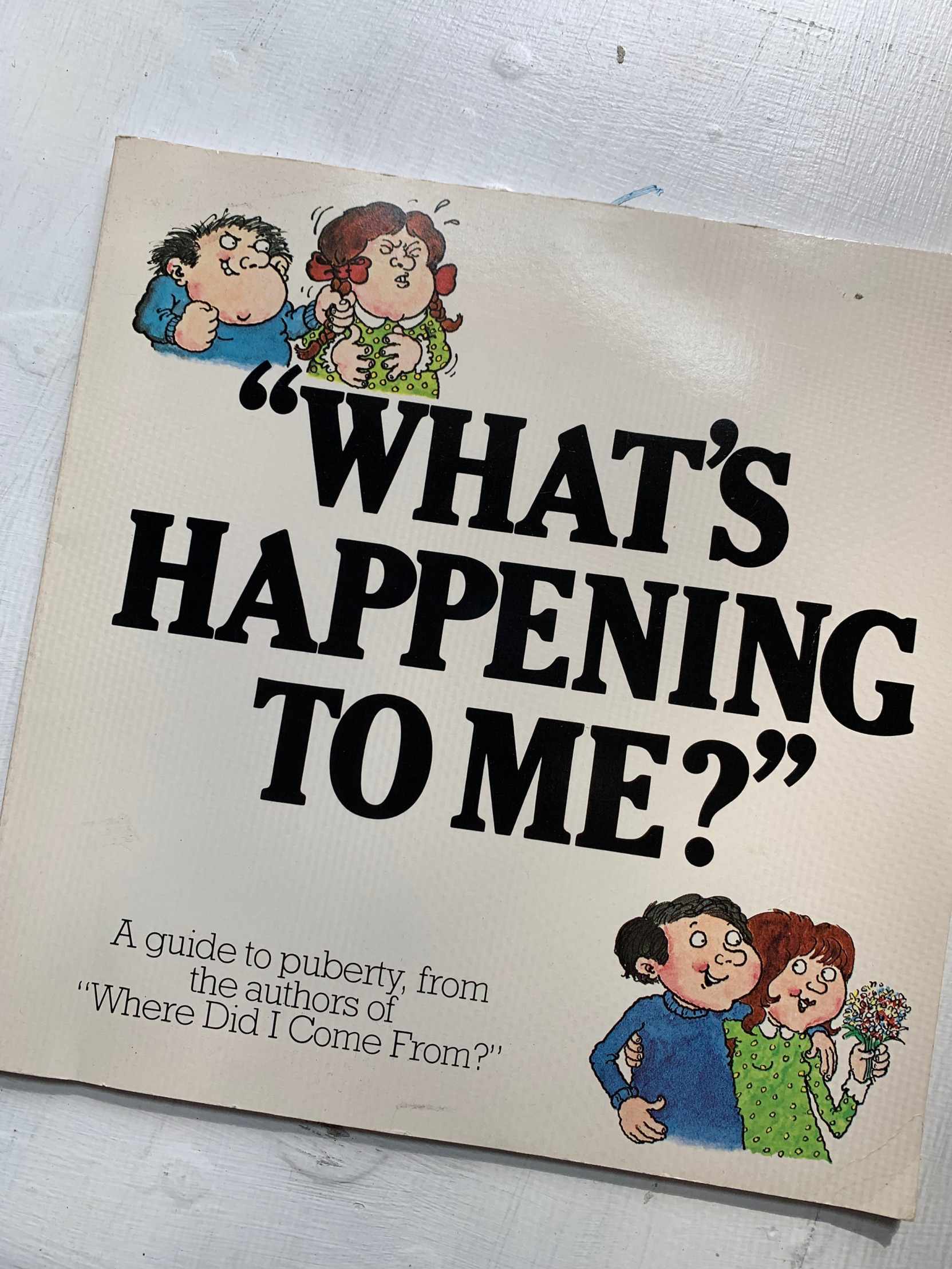 Puberty Book Blank Meme Template