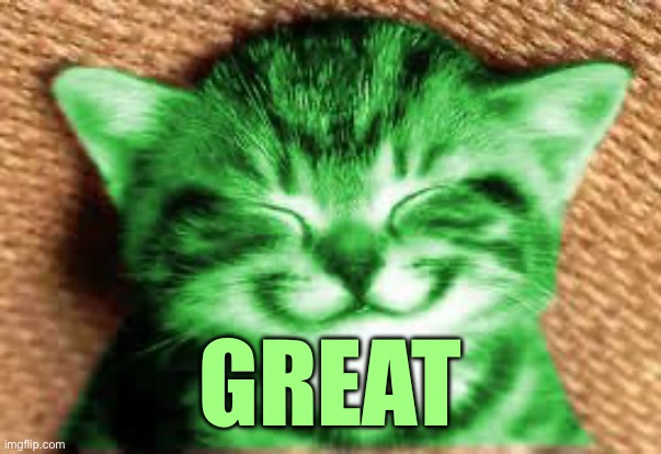 happy RayCat | GREAT | image tagged in happy raycat | made w/ Imgflip meme maker