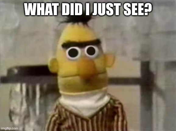 bert muppet what did i just see | WHAT DID I JUST SEE? | image tagged in bert muppet what did i just see | made w/ Imgflip meme maker
