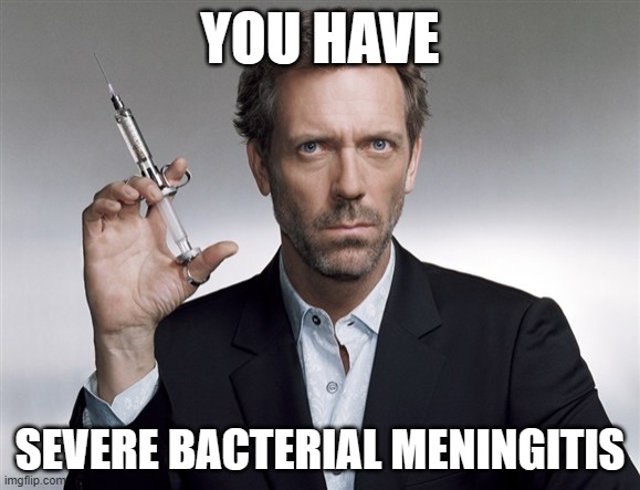 This for assignment | YOU HAVE; SEVERE BACTERIAL MENINGITIS | image tagged in house md | made w/ Imgflip meme maker